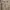 rok lilit vintage ethnic label photo 3