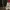 crewneck jeep iconic no lacoste pancoat burberry fred perry  photo 7