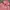 Aeropostale pink hoodie sun faded  photo 2