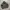TGNS Canvas Jacket photo 1