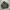 TGNS Canvas Jacket