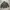 TGNS Canvas Jacket photo 2