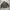TGNS Canvas Jacket