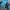 LECAF Running Jacket Blue Black Authentic Size M-L photo 2