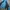 LECAF Running Jacket Blue Black Authentic Size M-L photo 7