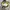 Sportswear Minimalist Bag Pria yellow photo 4