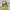 Sportswear Minimalist Bag Pria Yellow