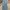 LONG PANTS DENIM TANBLE SKY BLUE photo 3