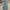 LONG PANTS DENIM WRANGLER SKY BLUE photo 2