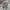 LONG PANTS DENIM WRANGLER SKY BLUE photo 1