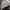 The Original Nike Air Max Plus Tn white/white-black-cool gre photo 4