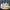 The Original Nike Air Max Plus Tn white/white-black-cool gre photo 5