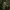 Vintage Parka Pria green photo 7