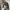 Plus One Double Pocket Blouson Wool Jacket photo 7