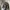 Demut Shop Black Blouson Work Jacket photo 6
