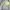 Nike Banana Boxy Crop Crewneck photo 4