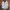 Jaket Vintage Kodak Polychrome Graphics Bomber Jacket photo 1