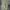 SPAO Cargo Nylon Pants photo 3