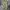 SPAO Cargo Nylon Pants photo 2