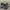 Semantic design double layerd washed photo 5