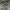Semantic design double layerd washed photo 2