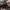 Semantic design double layerd washed photo 6
