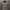 Semantic design double layerd washed photo 3