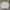 Y2K Umbro Sweater Casual Pria Grey photo 1