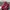 Nike Air Jordan 1 “Bred Toe”  photo 5