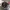 Nike Air Jordan 1 “Bred Toe”  photo 7