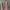 Sabrina Cropped Top Pink / Atasan Sabrina Pink photo 1
