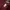 Dress No Brand Maroon
