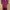 Dress No Brand Maroon