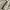 Louis vuitton vintage watch / jam tangan vintage photo 2