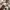 Gucci vintage watch / jam tangan vintage photo 3