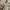 Gucci vintage watch / jam tangan vintage photo 2