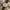 Gucci vintage watch / jam tangan vintage photo 1