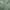 Bomber jacket type MA1 green military  photo 6