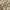 Gucci vintage watch / jam tangan vintage photo 2
