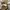 Gucci vintage watch / jam tangan vintage photo 1