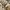 Gucci vintage watch / jam tangan vintage photo 3