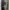 Novel Silent Wife - A.S.A. Harrison - Second/Preloved - ORI photo 2