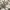 Guess vintage watch / jam tangan vintage photo 3