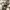 Guess vintage watch / jam tangan vintage photo 4