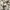 Vintage watch women / jam tangan vintage photo 4