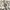 Vintage watch women / jam tangan vintage photo 1