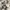 Calvin klein vintage watch / jam tangan vintage photo 3