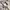 Calvin klein vintage watch / jam tangan vintage photo 4