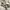Calvin klein vintage watch / jam tangan vintage photo 2