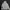 Hoodie NBA Warna Ivory photo 1
